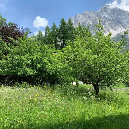 Piccolo Gioiello Di Montagna Apartamento *