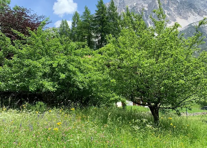 Piccolo Gioiello Di Montagna Daire *